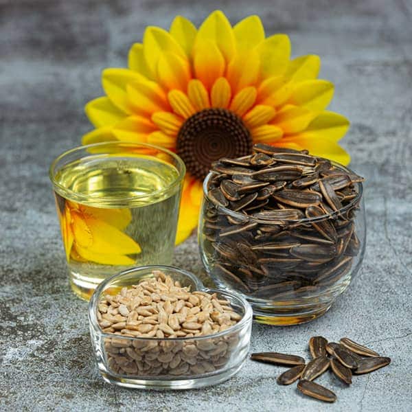تصویر 1 از خرید تخمه بیجار + فروش استثنایی